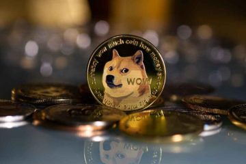 meme coin